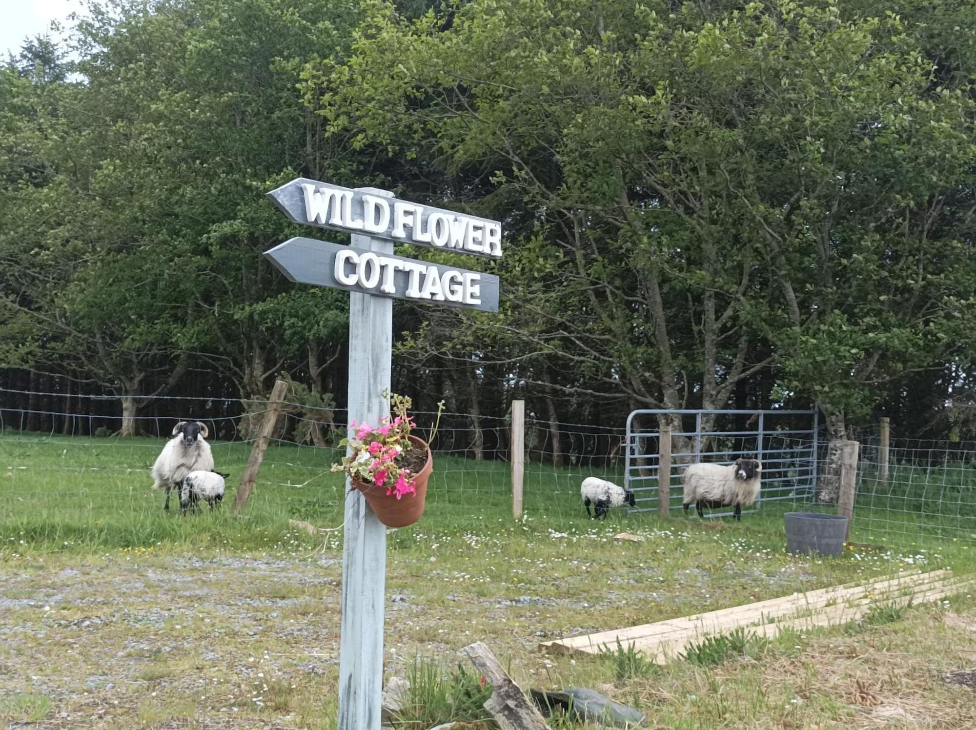 Clifden Wildflower Cottage - Clifden Countryside Lettings Exterior photo